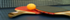 pingpong foix