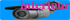 surveillance_int